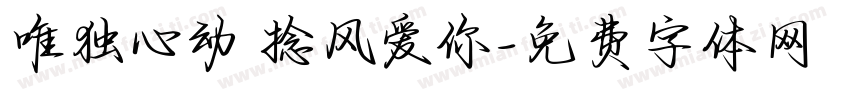 唯独心动 捻风爱你字体转换